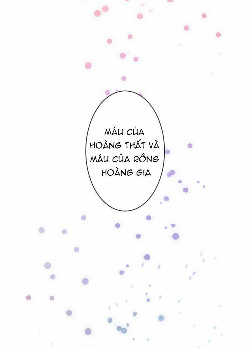 Công Tước Bạch Long Chapter 4 - Trang 2