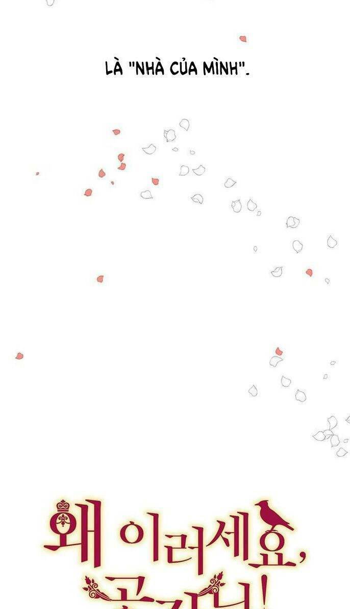 Công Tước, Loạn Vừa Thôi! Chapter 43 - Trang 2