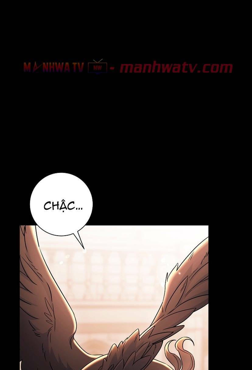 Cốt Binh Trở Lại Chapter 136 - Trang 2