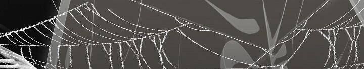 Cốt Binh Trở Lại Chapter 148 - Trang 2