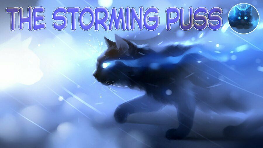 Cross And Crime Chapter 56 - Trang 2