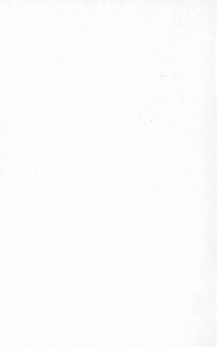 Crows Chapter 11 - Trang 2