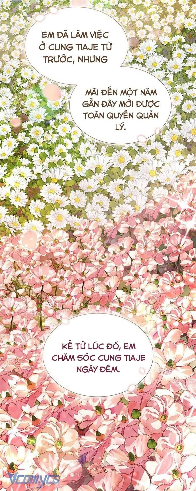 Cứ Cố Gắng Hết Sức Để Hối Hận Chapter 26 - Trang 2