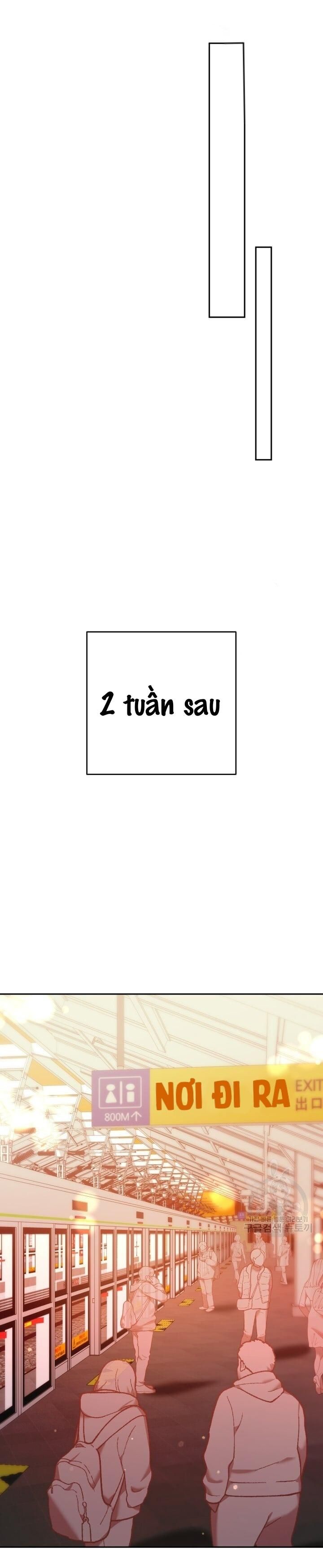 Cú Đấm Netkama Chapter 14 - Trang 2