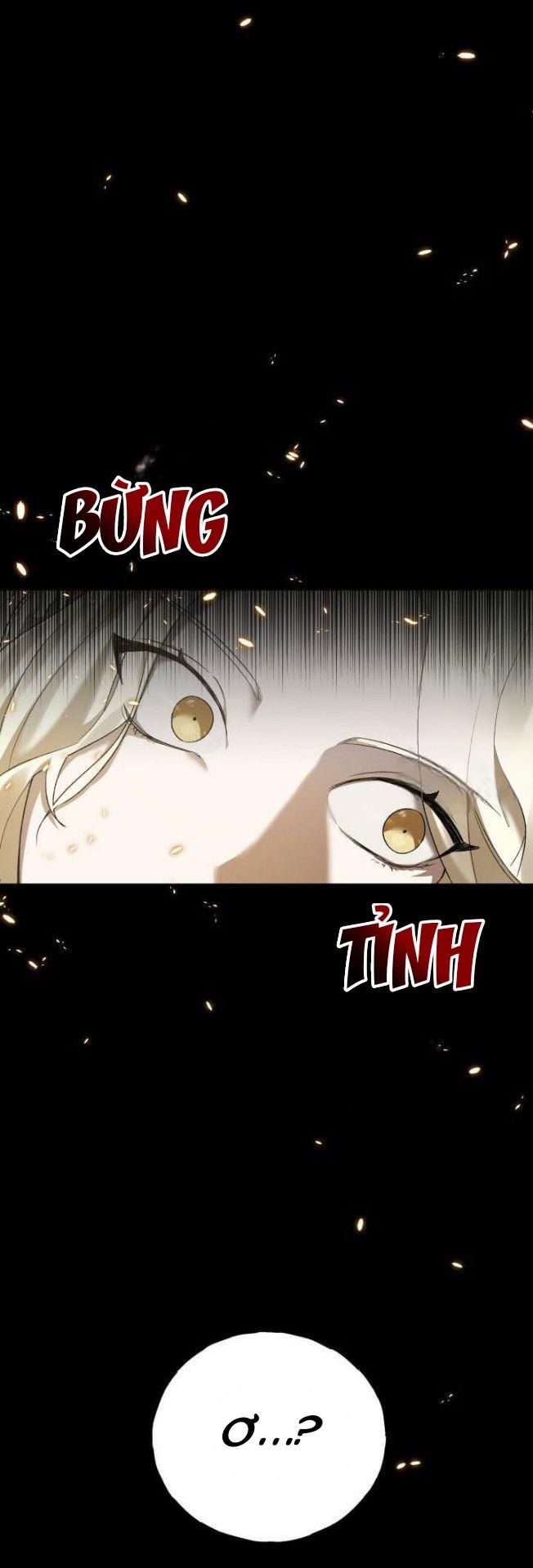 Cú Đấm Netkama Chapter 2 - Trang 2