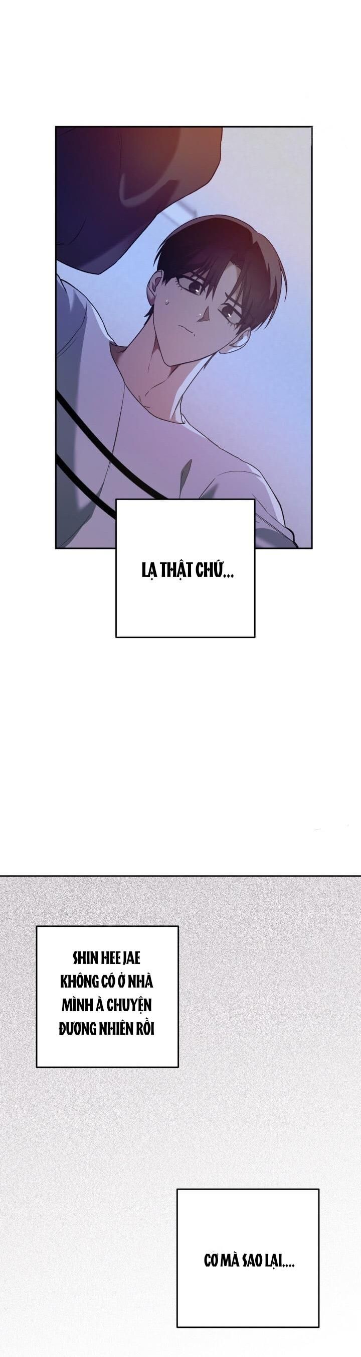 Cú Đấm Netkama Chapter 20 - Trang 2