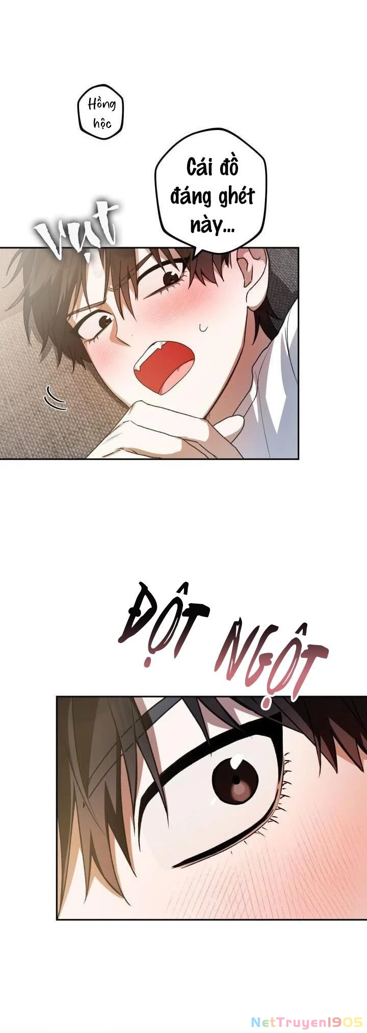 Cú Đấm Netkama Chapter 37 - Trang 2
