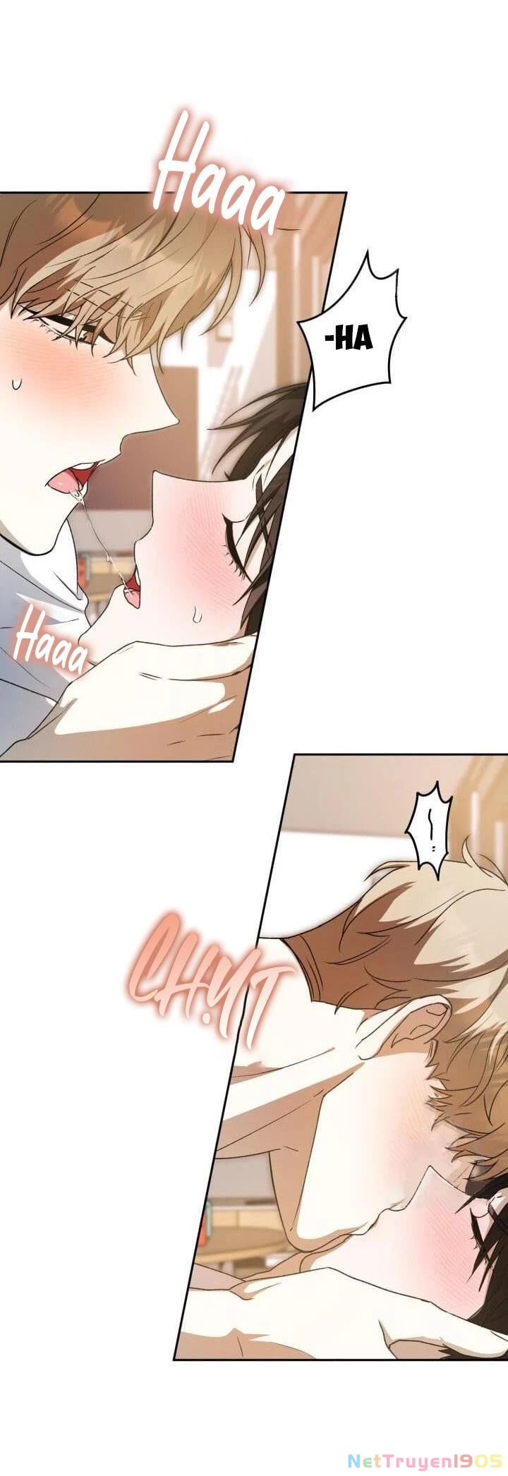 Cú Đấm Netkama Chapter 37 - Trang 2