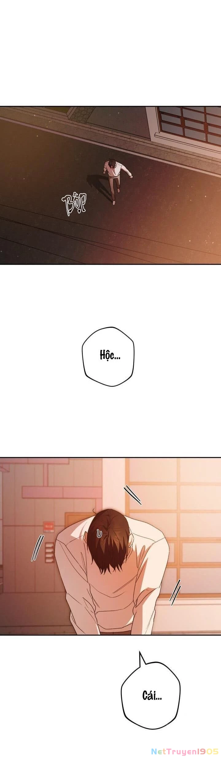 Cú Đấm Netkama Chapter 37 - Trang 2