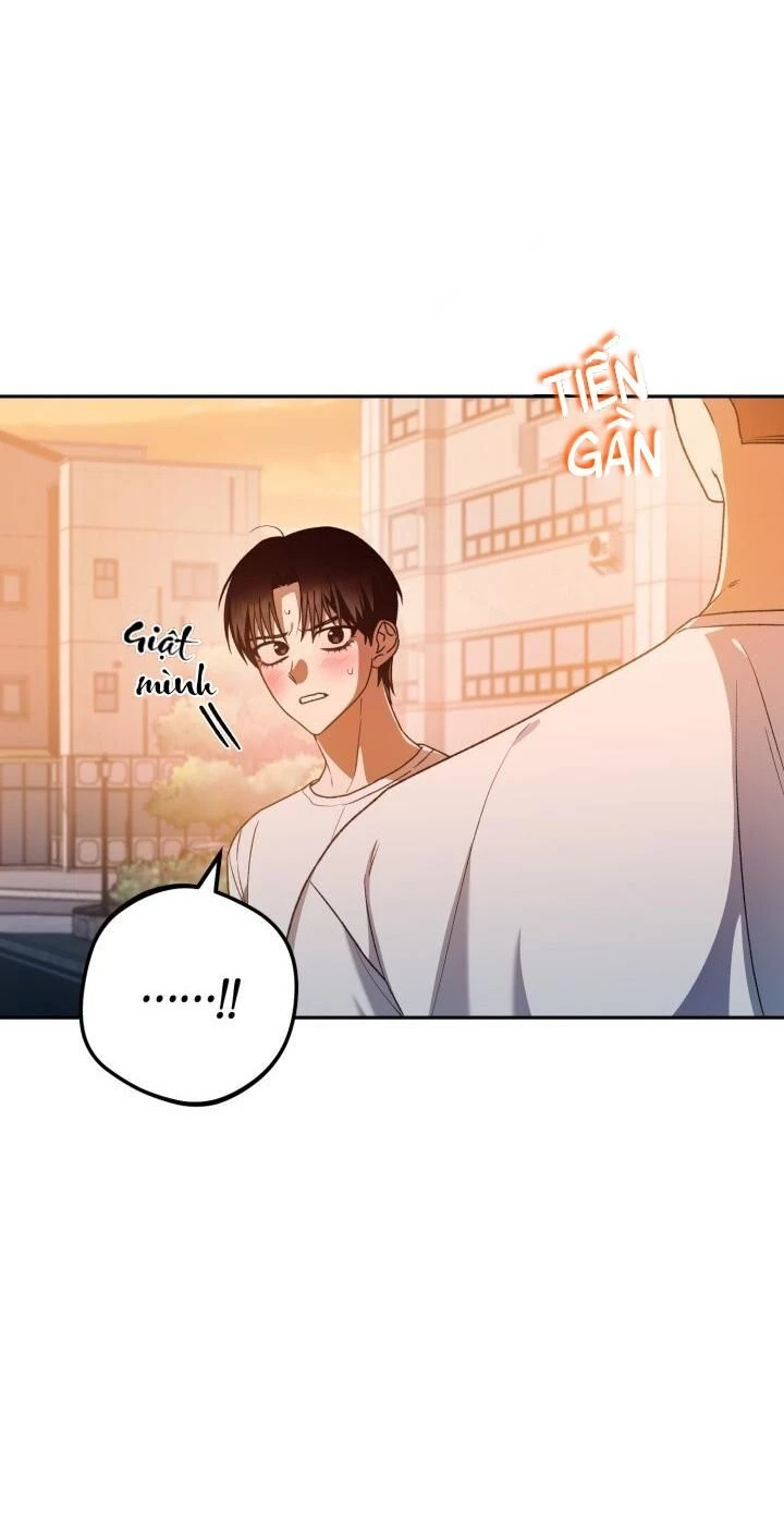 Cú Đấm Netkama Chapter 38 - Trang 2