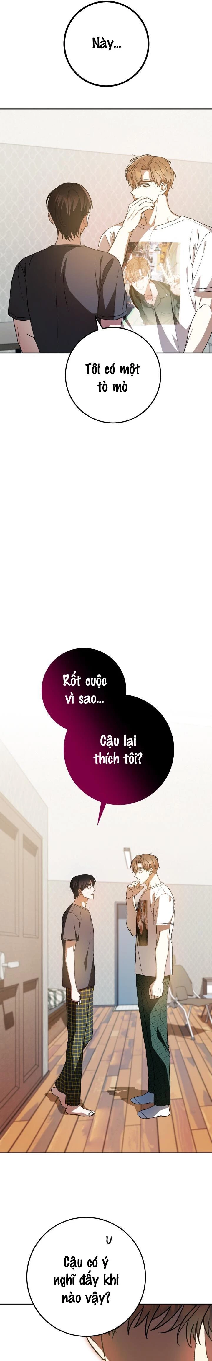 Cú Đấm Netkama Chapter 41 - Trang 2