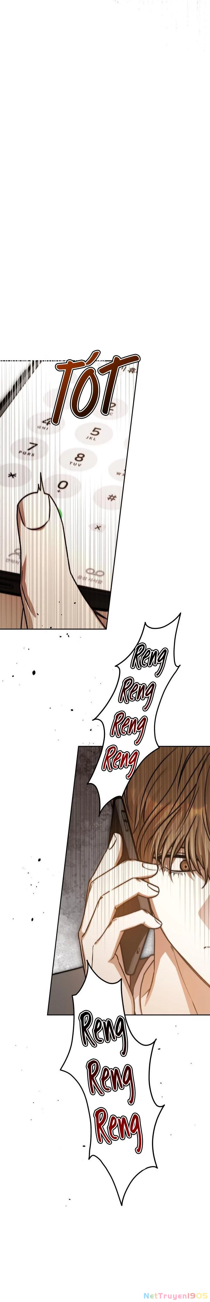 Cú Đấm Netkama Chapter 47 - Trang 2