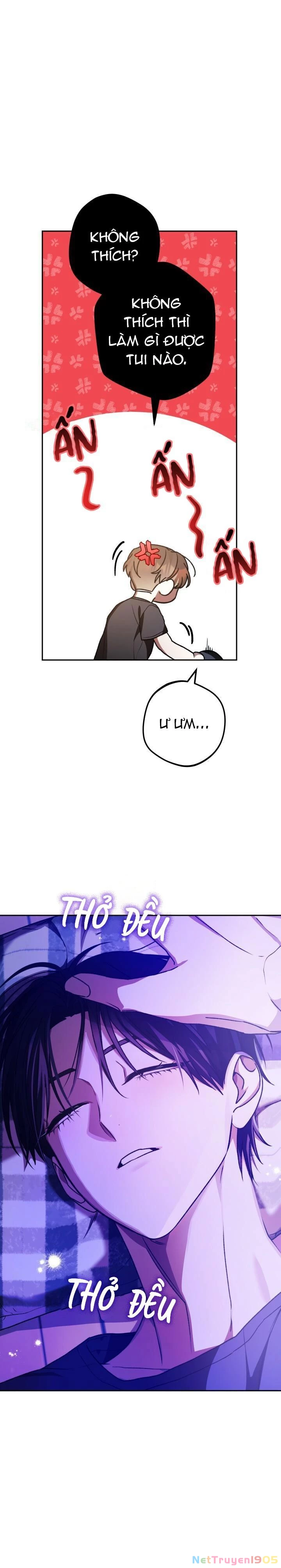 Cú Đấm Netkama Chapter 50 - Trang 2