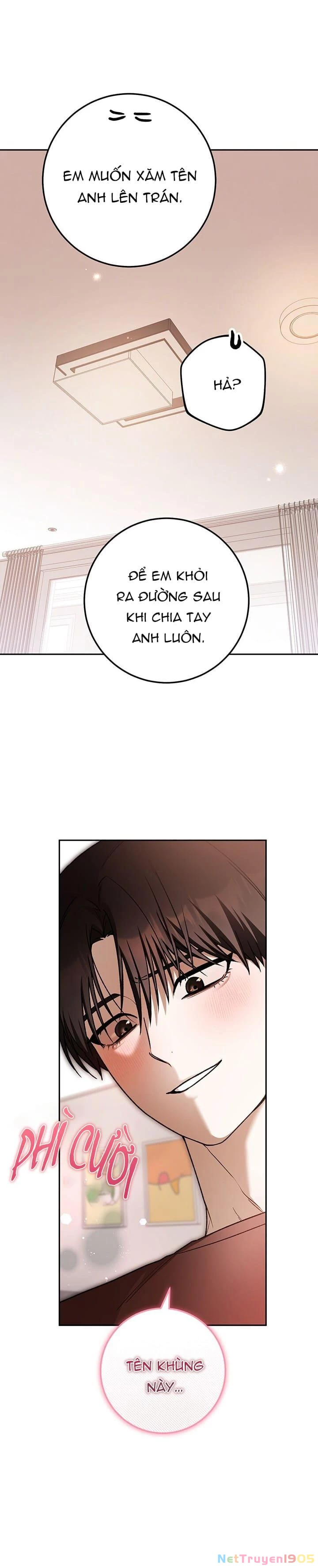Cú Đấm Netkama Chapter 72 - Trang 2