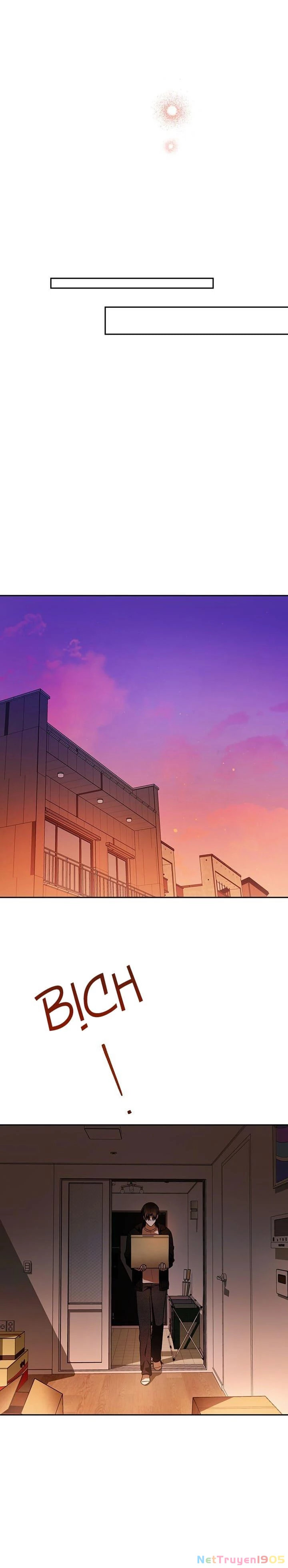 Cú Đấm Netkama Chapter 72 - Trang 2