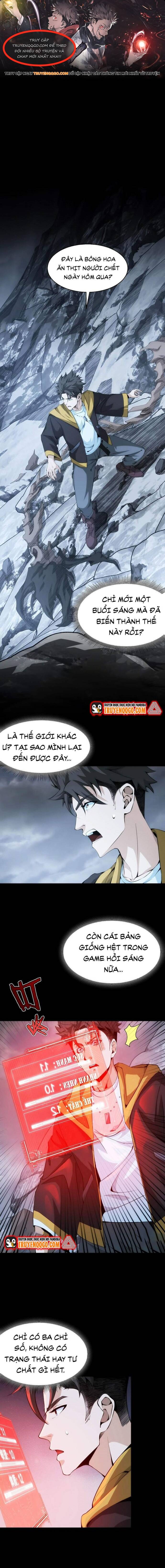 Cú Đấm Trời Giáng Chapter 8 - Trang 2