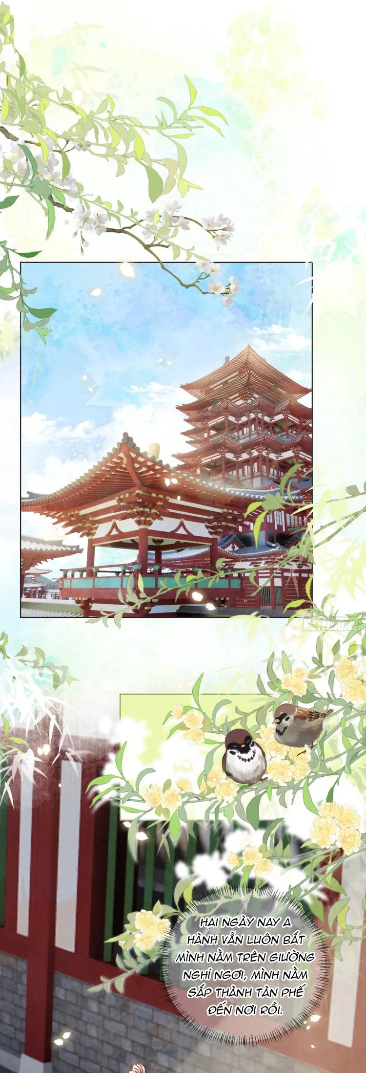 Cư Tâm Bất Kính Chapter 23 - Trang 2