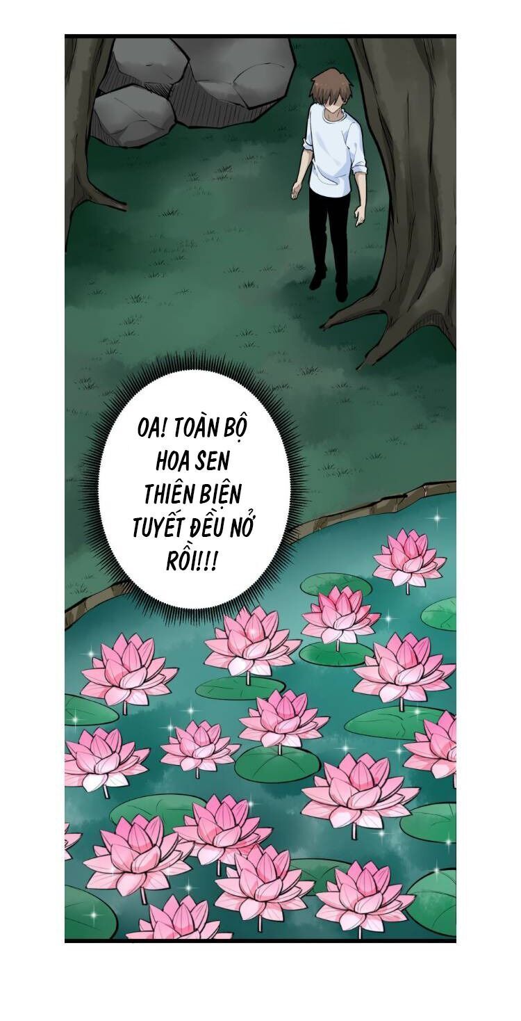 Cửa Hàng Đào Bảo Thông Tam Giới Chapter 178 - Trang 2