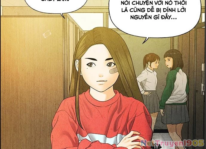 Cửa Hàng Đồ Cổ Tương Lai Chapter 21 - Trang 2