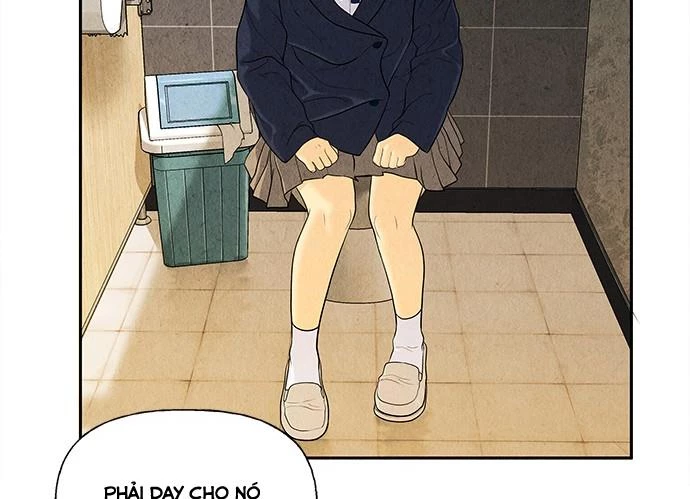 Cửa Hàng Đồ Cổ Tương Lai Chapter 21 - Trang 2