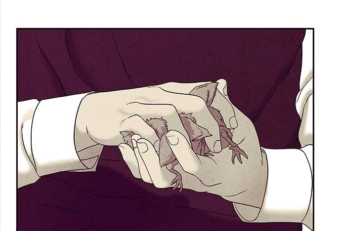 Cửa Hàng Đồ Cổ Tương Lai Chapter 22 - Trang 2