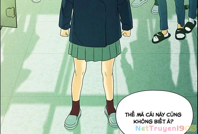 Cửa Hàng Đồ Cổ Tương Lai Chapter 22 - Trang 2