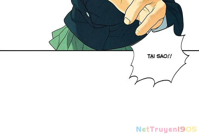 Cửa Hàng Đồ Cổ Tương Lai Chapter 22 - Trang 2