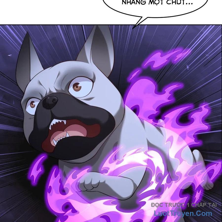 Cửa Hàng Sủng Vật Thần Kỳ Chapter 14 - Trang 2