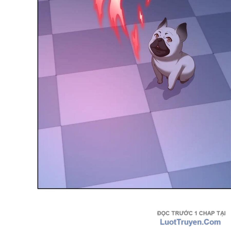 Cửa Hàng Sủng Vật Thần Kỳ Chapter 14 - Trang 2