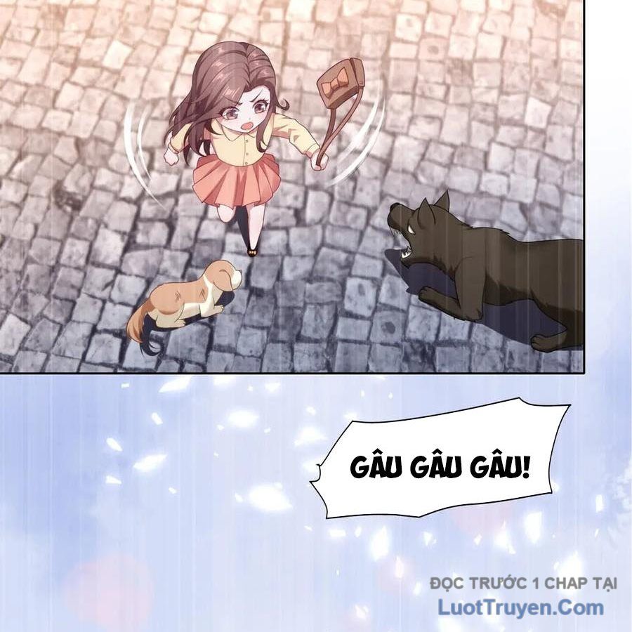 Cửa Hàng Sủng Vật Thần Kỳ Chapter 14 - Trang 2