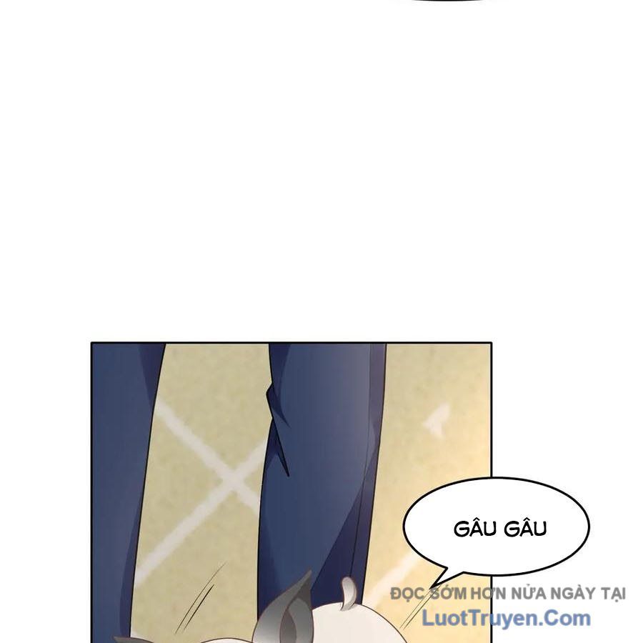Cửa Hàng Sủng Vật Thần Kỳ Chapter 16 - Trang 2