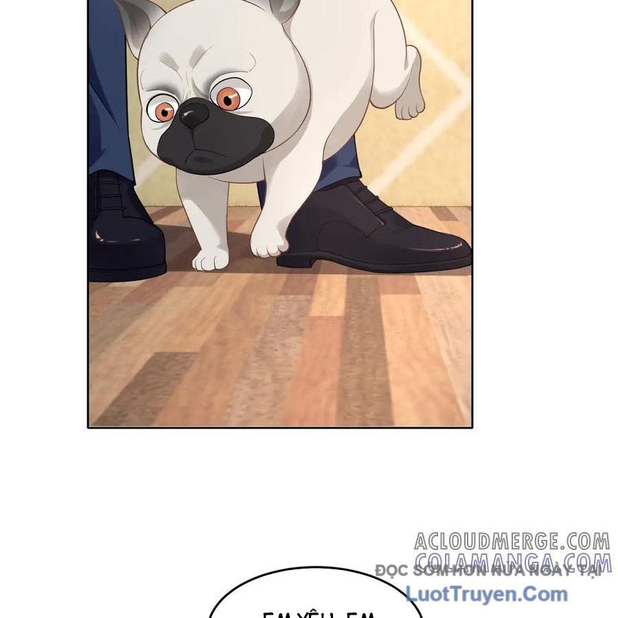 Cửa Hàng Sủng Vật Thần Kỳ Chapter 16 - Trang 2