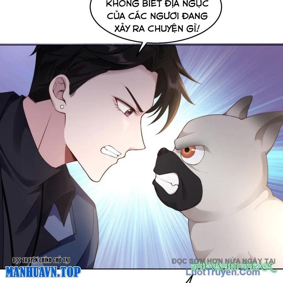 Cửa Hàng Sủng Vật Thần Kỳ Chapter 16 - Trang 2