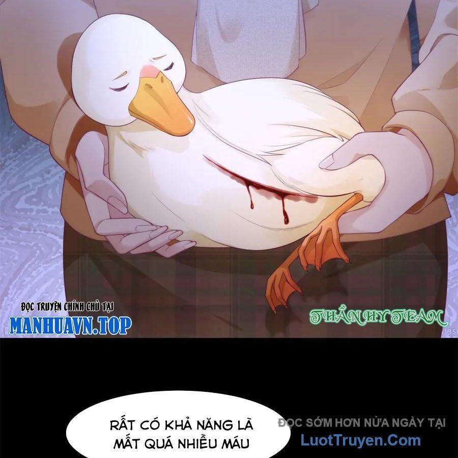 Cửa Hàng Sủng Vật Thần Kỳ Chapter 16 - Trang 2