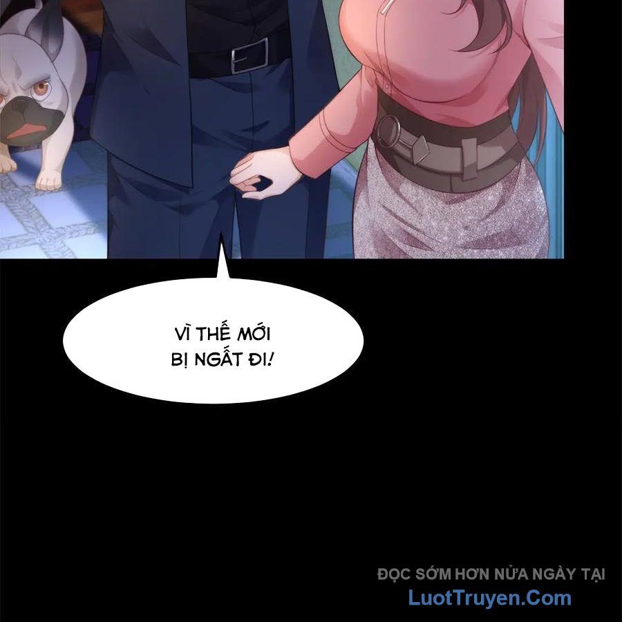 Cửa Hàng Sủng Vật Thần Kỳ Chapter 16 - Trang 2