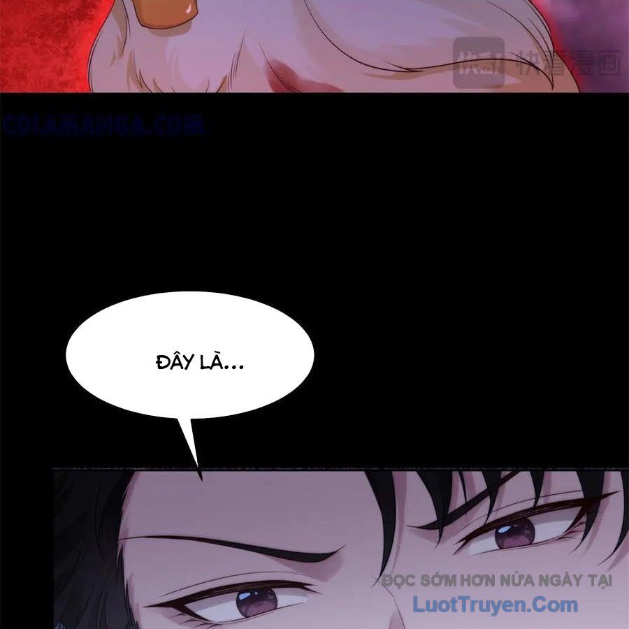 Cửa Hàng Sủng Vật Thần Kỳ Chapter 16 - Trang 2
