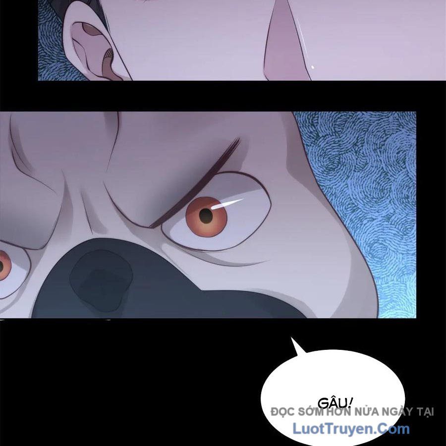 Cửa Hàng Sủng Vật Thần Kỳ Chapter 16 - Trang 2