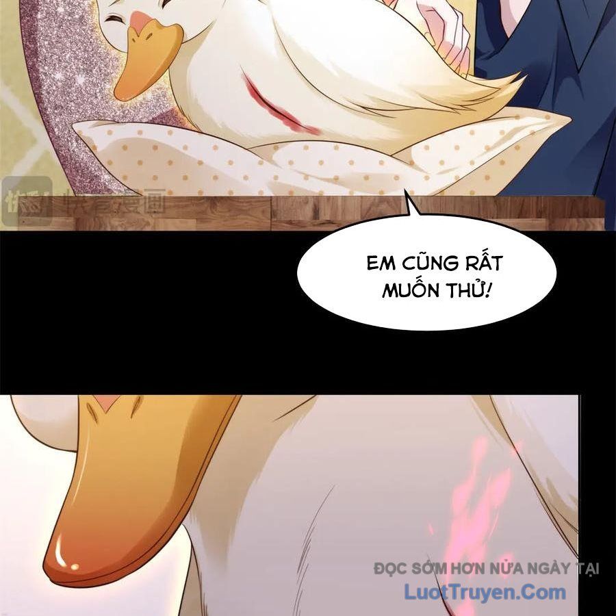 Cửa Hàng Sủng Vật Thần Kỳ Chapter 16 - Trang 2