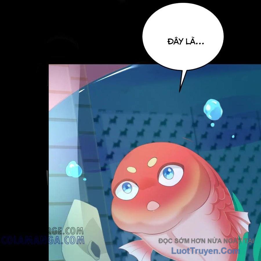 Cửa Hàng Sủng Vật Thần Kỳ Chapter 16 - Trang 2