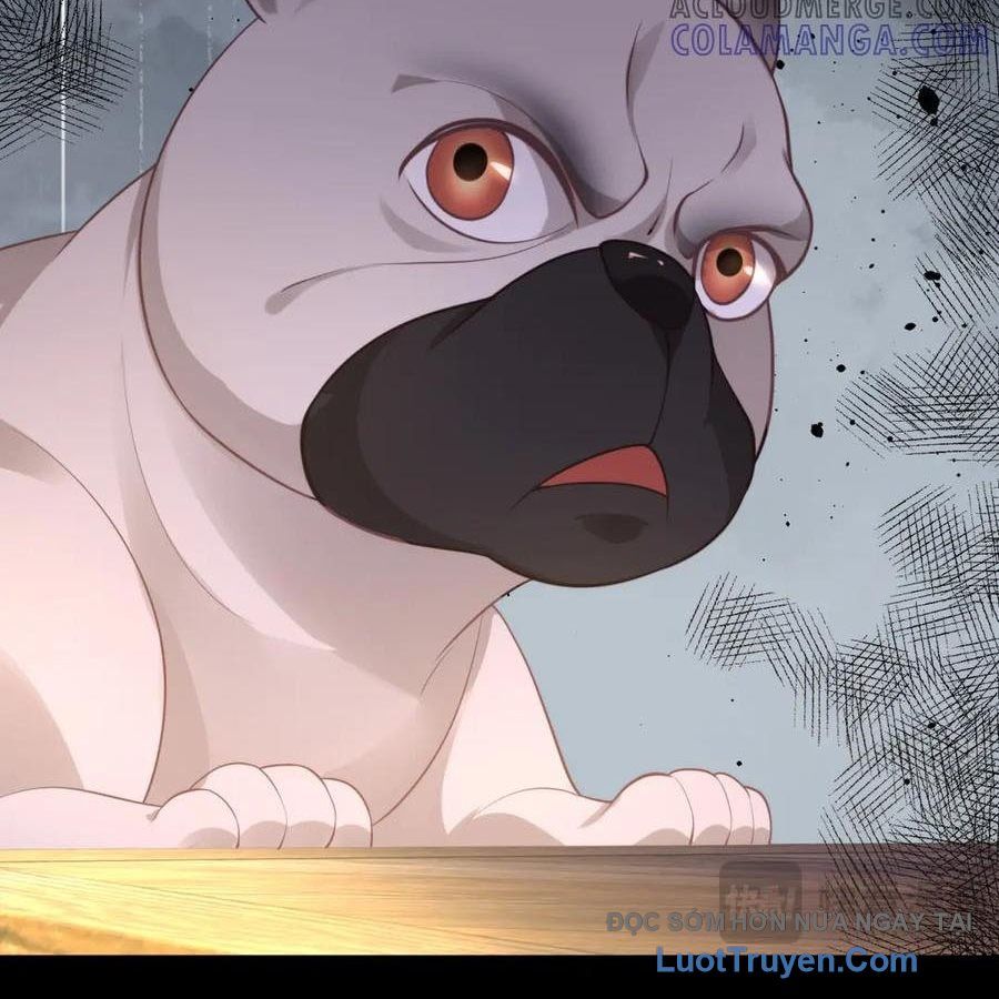 Cửa Hàng Sủng Vật Thần Kỳ Chapter 16 - Trang 2