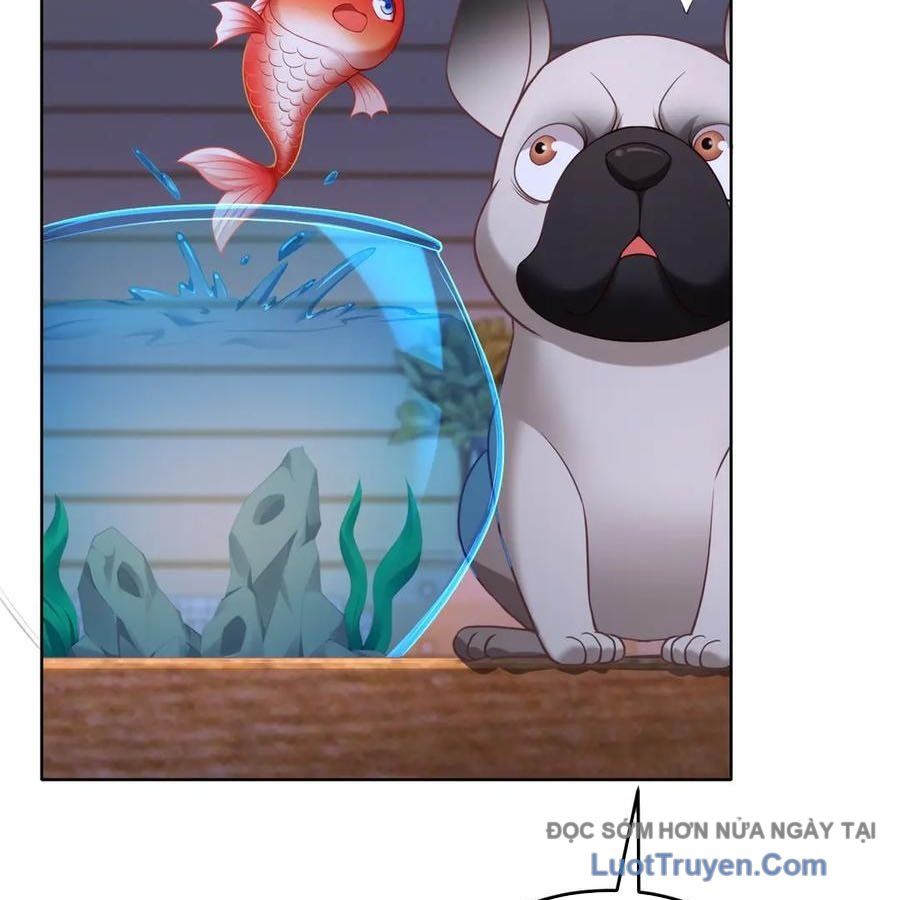 Cửa Hàng Sủng Vật Thần Kỳ Chapter 17 - Trang 2