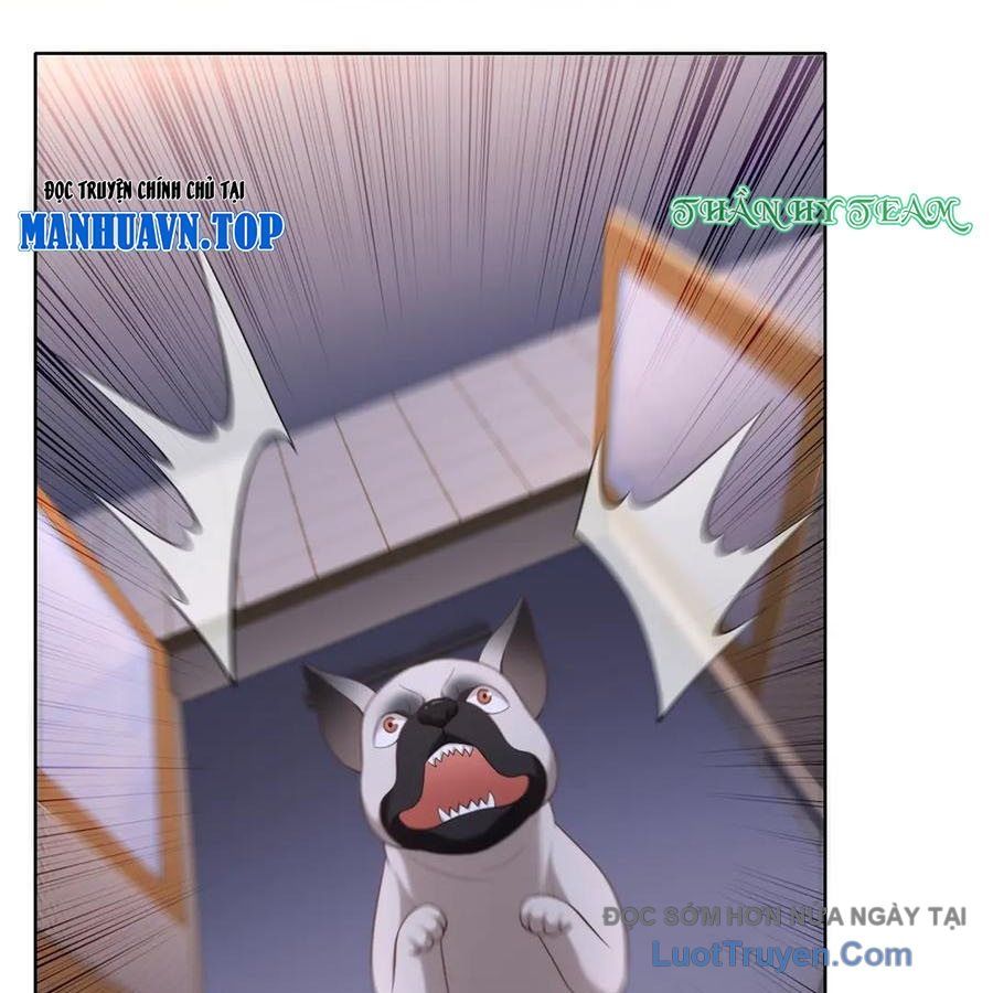 Cửa Hàng Sủng Vật Thần Kỳ Chapter 17 - Trang 2
