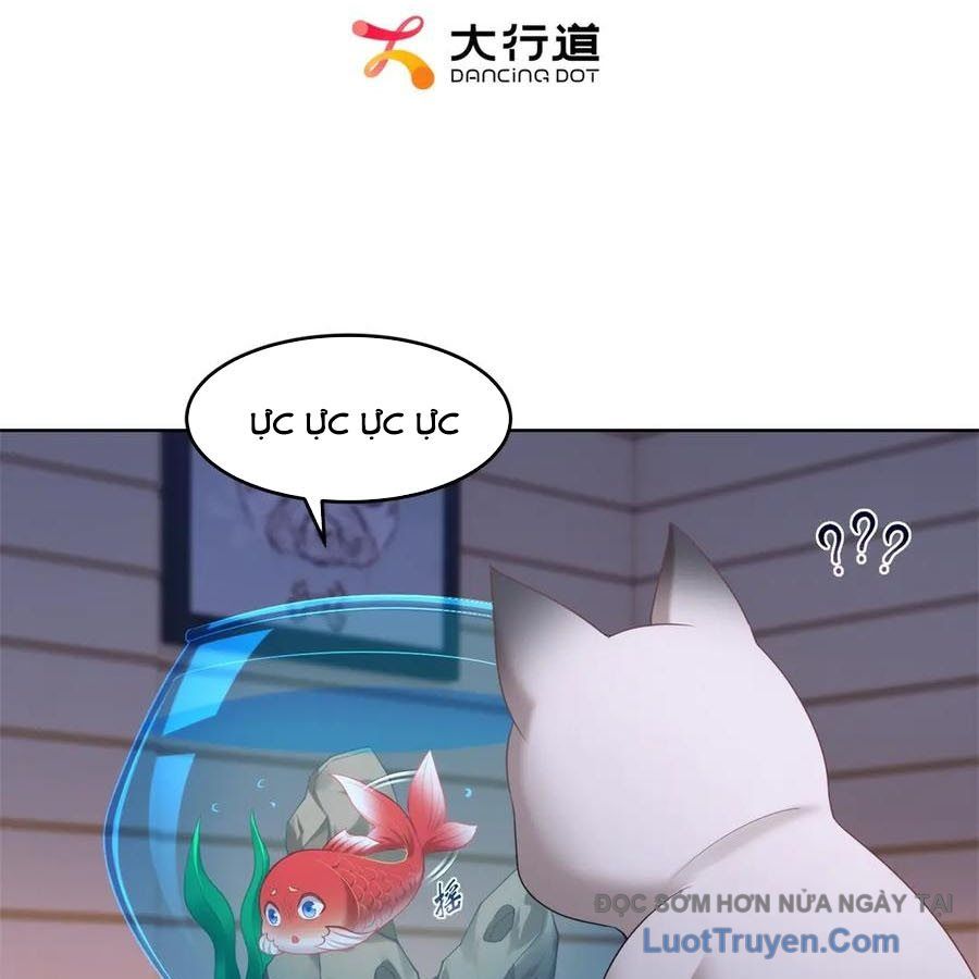 Cửa Hàng Sủng Vật Thần Kỳ Chapter 17 - Trang 2
