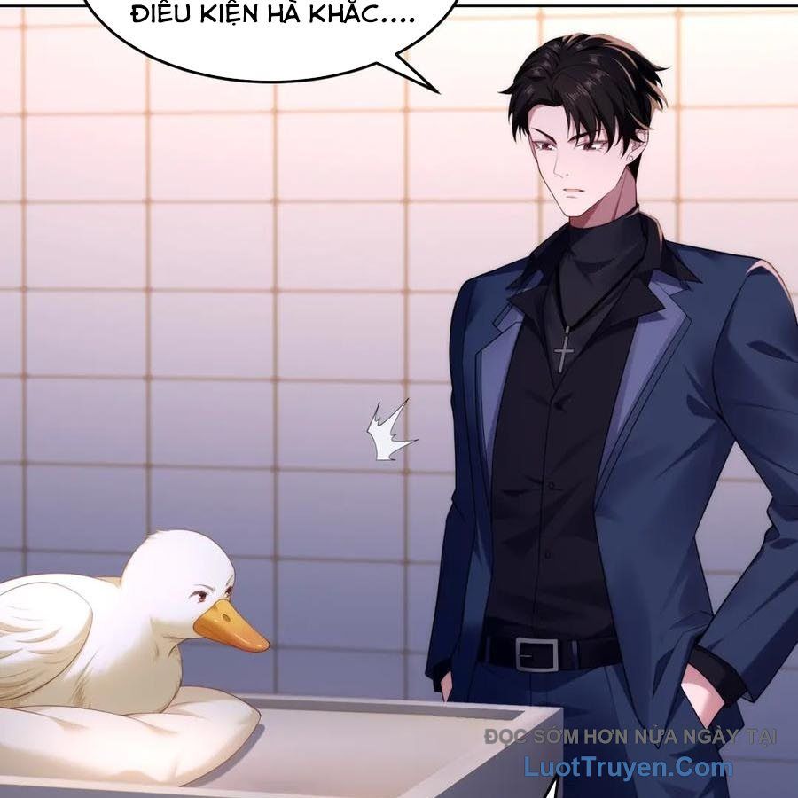 Cửa Hàng Sủng Vật Thần Kỳ Chapter 17 - Trang 2