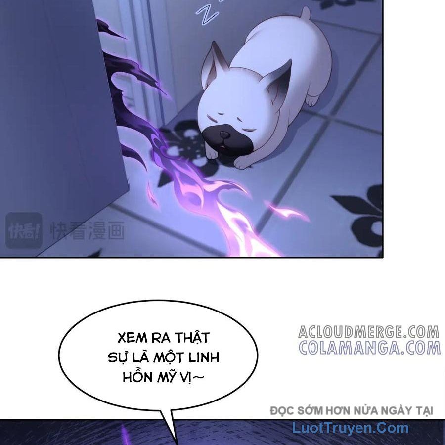 Cửa Hàng Sủng Vật Thần Kỳ Chapter 17 - Trang 2