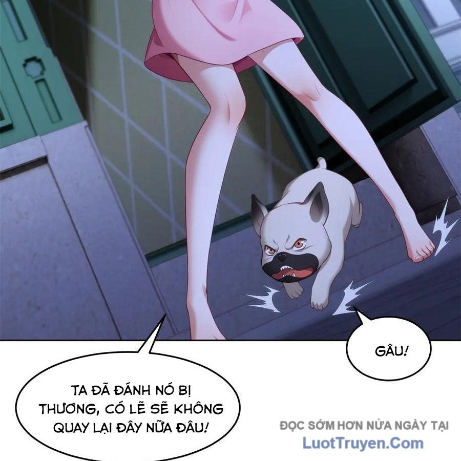 Cửa Hàng Sủng Vật Thần Kỳ Chapter 17 - Trang 2