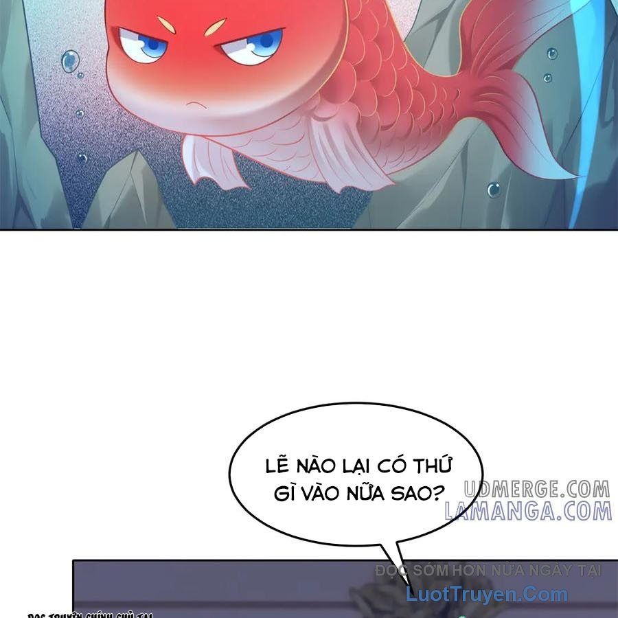 Cửa Hàng Sủng Vật Thần Kỳ Chapter 17 - Trang 2
