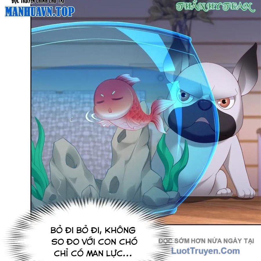 Cửa Hàng Sủng Vật Thần Kỳ Chapter 17 - Trang 2