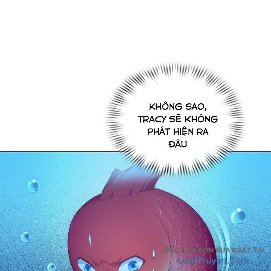 Cửa Hàng Sủng Vật Thần Kỳ Chapter 17 - Trang 2