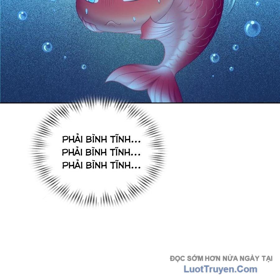 Cửa Hàng Sủng Vật Thần Kỳ Chapter 17 - Trang 2